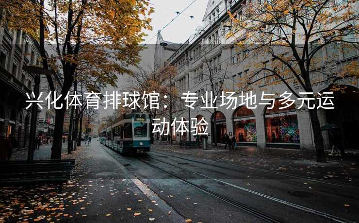 兴化体育排球馆：专业场地与多元运动体验