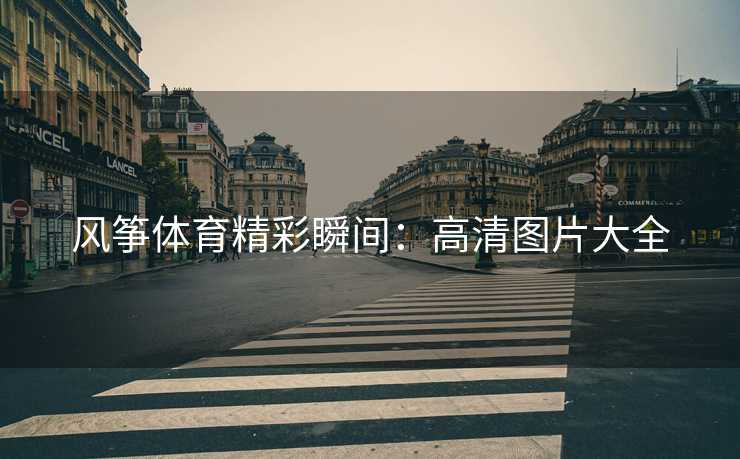 风筝体育精彩瞬间:高清图片大全 风筝体育精彩瞬间:高清图片大全