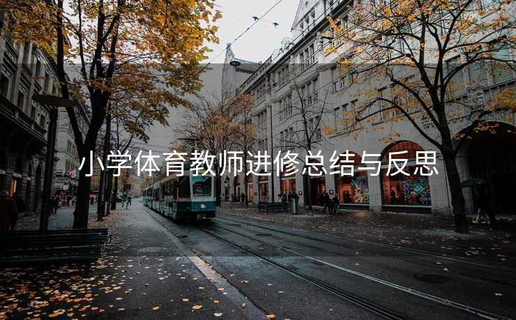 小学体育教师进修总结与反思
